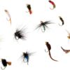 12x Fishing Flies Simulation Nymphs Fisherma Dry Flies Nymphs Fly Fishing Flies Kit - Image 8
