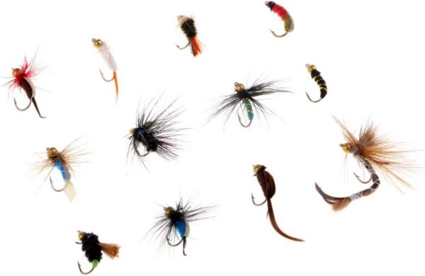 12x Fishing Flies Simulation Nymphs Fisherma Dry Flies Nymphs Fly Fishing Flies Kit - Image 8