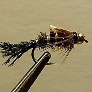 1 Dozen Brass Bead Zug Bug Nymph Wet Fly Dry Flies Nymphs Fly Fishing Flies Kit
