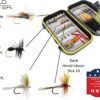 Fly Fishing 60pc Mini Mega Fly Assortment an Dry Flies Nymphs Fly Fishing Flies Kit - Image 3