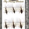Realistic May Fly Nimph Set of 6 Dry Flies Nymphs Fly Fishing Flies Kit
