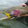 Gray Shad Clouser Minnow Deep Flies Set of 3 Dry Flies Nymphs Fly Fishing Flies Kit - Image 4