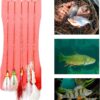 Assorted Fly Fishing Flies Kit for Trout Sal Dry Flies Nymphs Fly Fishing Flies Kit - Image 5