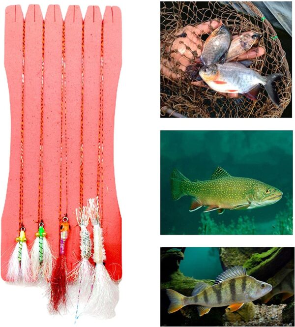 Assorted Fly Fishing Flies Kit for Trout Sal Dry Flies Nymphs Fly Fishing Flies Kit - Image 5