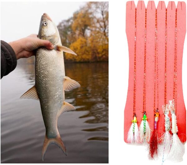 Assorted Fly Fishing Flies Kit for Trout Sal Dry Flies Nymphs Fly Fishing Flies Kit - Image 6