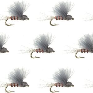 Company RS2-12-Pack Dry Flies Nymphs Fly Fishing Flies Kit