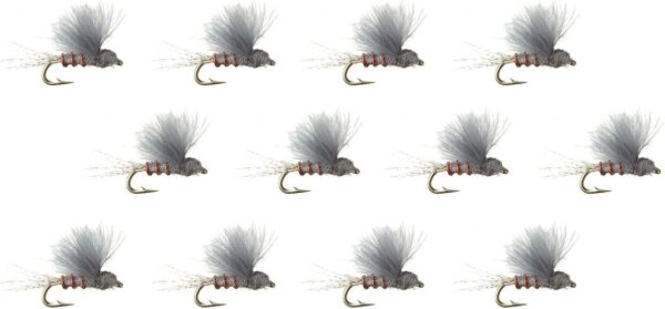 Company RS2-12-Pack Dry Flies Nymphs Fly Fishing Flies Kit