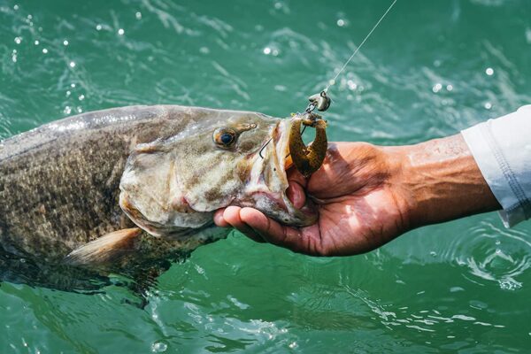 PowerBait Chigger Craw 9 count Fishing Artificial Bait Soft Plastic Lures - Image 4