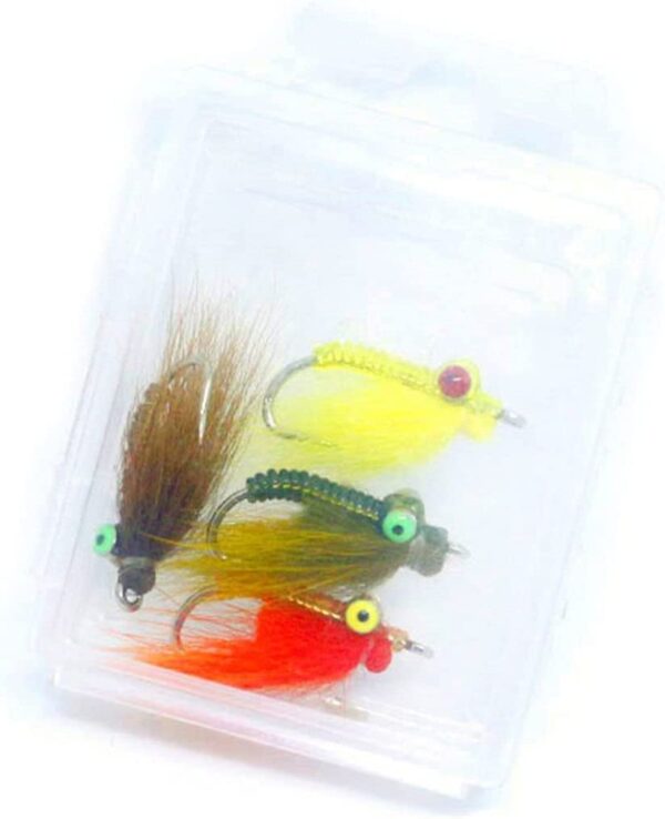 Dry Fly Fishing Lure Kit Bait Floating Flies Dry Flies Nymphs Fly Fishing Flies Kit - Image 2
