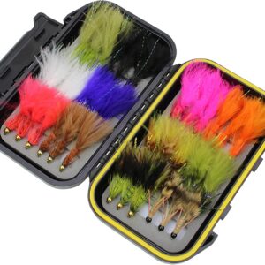 Fly Fishing 36 Wooly Bugger Flies Assortment Dry Flies Nymphs Fly Fishing Flies Kit