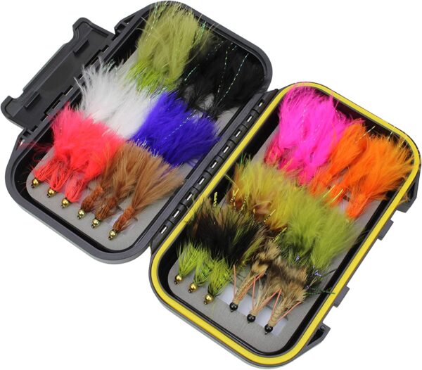 Fly Fishing 36 Wooly Bugger Flies Assortment Dry Flies Nymphs Fly Fishing Flies Kit