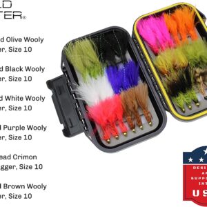Fly Fishing 36 Wooly Bugger Flies Assortment Dry Flies Nymphs Fly Fishing Flies Kit