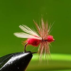1 Dozen White Winged Red Ant Dry Fly T Dry Flies Nymphs Fly Fishing Flies Kit