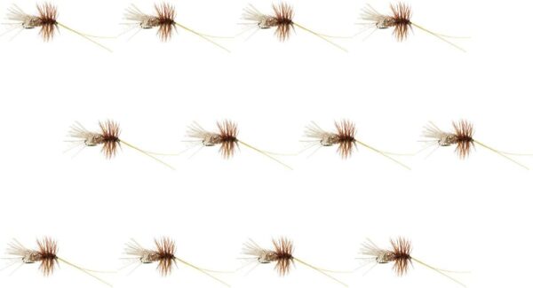 Company Goddard Caddis 12 Pack Dry Flies Nymphs Fly Fishing Flies Kit
