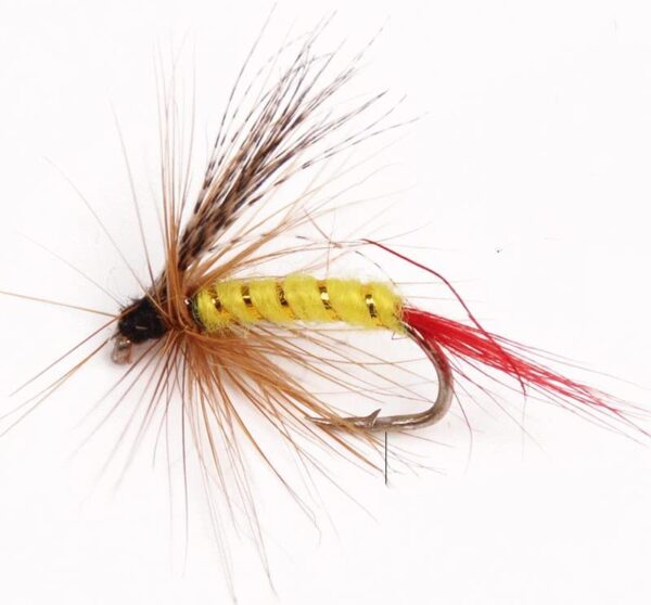 ?40/72/100PCS Assorted Trout Fly Fishing Fli Dry Flies Nymphs Fly Fishing Flies Kit - Image 3