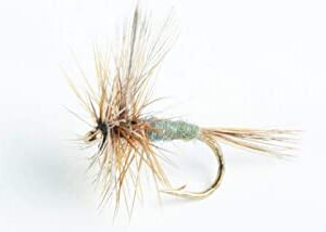 Blue Wing Olive Adams Dry Fly 6 Pack Dry Flies Nymphs Fly Fishing Flies Kit