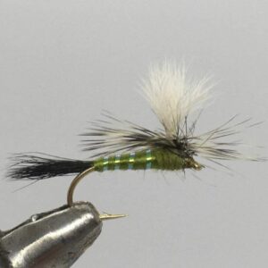 One Dozen (12) Green Drake Wulff Dry Fly Dry Flies Nymphs Fly Fishing Flies Kit