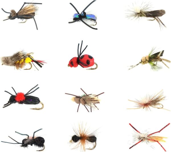 Best Assortment Flies Combo Carp Flies Wet T Dry Flies Nymphs Fly Fishing Flies Kit - Image 3