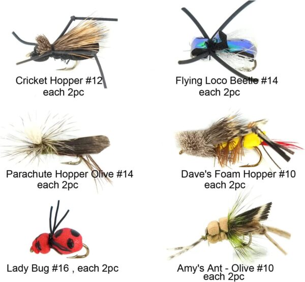Best Assortment Flies Combo Carp Flies Wet T Dry Flies Nymphs Fly Fishing Flies Kit - Image 4