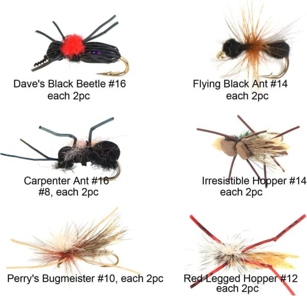 Best Assortment Flies Combo Carp Flies Wet T Dry Flies Nymphs Fly Fishing Flies Kit - Image 5