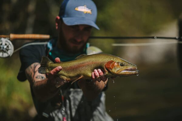 Postfly Trout Fly Fishing Kit Premium Trou Dry Flies Nymphs Fly Fishing Flies Kit - Image 6
