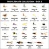200 Premium Hand Tied Fly Fishing Flies As Dry Flies Nymphs Fly Fishing Flies Kit - Image 2