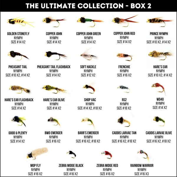 200 Premium Hand Tied Fly Fishing Flies As Dry Flies Nymphs Fly Fishing Flies Kit - Image 3