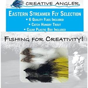 Eastern Streamer Fly Selection for Fly Fishi Dry Flies Nymphs Fly Fishing Flies Kit