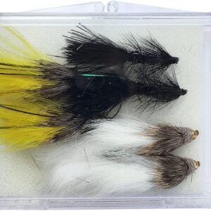 Eastern Streamer Fly Selection for Fly Fishi Dry Flies Nymphs Fly Fishing Flies Kit