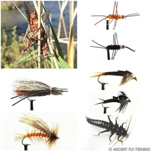 Salmonfly Selection Dry Flies Nymphs Fly Fishing Flies Kit