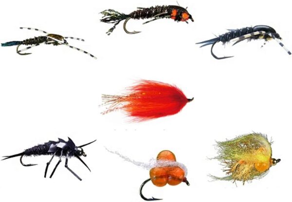 MFC Steelhead Nymph Assortment 7 Flies Dry Flies Nymphs Fly Fishing Flies Kit
