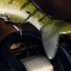 #NAME? - Image 4
