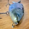 #NAME? - Image 6