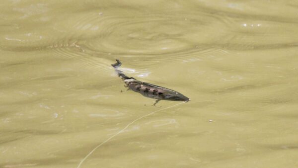 #NAME? - Image 7
