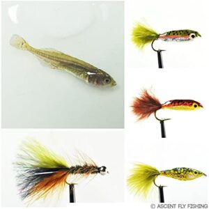 Young Trout Selection Dry Flies Nymphs Fly Fishing Flies Kit