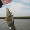 Split Tail Bait Set Split Plastic Soft Bait   Fishing Artificial Bait Soft Plastic Lures - Image 7