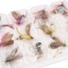 12pcs Fly Fishing Flies Kit Fly Fishing Lure Dry Flies Nymphs Fly Fishing Flies Kit - Image 3
