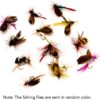 12pcs Fly Fishing Flies Kit Fly Fishing Lure Dry Flies Nymphs Fly Fishing Flies Kit - Image 4