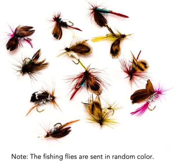 12pcs Fly Fishing Flies Kit Fly Fishing Lure Dry Flies Nymphs Fly Fishing Flies Kit - Image 4