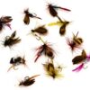 12pcs Fly Fishing Flies Kit Fly Fishing Lure Dry Flies Nymphs Fly Fishing Flies Kit - Image 6