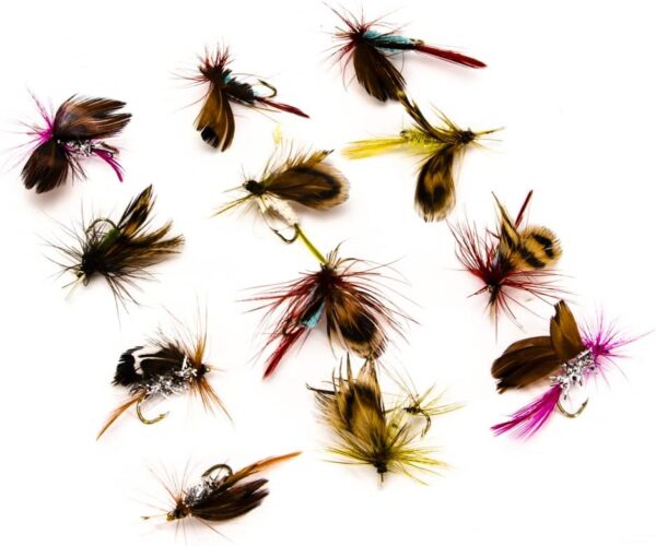 12pcs Fly Fishing Flies Kit Fly Fishing Lure Dry Flies Nymphs Fly Fishing Flies Kit - Image 6