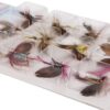 12pcs Fly Fishing Flies Kit Fly Fishing Lure Dry Flies Nymphs Fly Fishing Flies Kit - Image 9