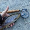 Fly Fishing Salmon Bead Head Eggs Pattern Dr Dry Flies Nymphs Fly Fishing Flies Kit - Image 6
