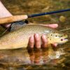 Fly Fishing Salmon Bead Head Eggs Pattern Dr Dry Flies Nymphs Fly Fishing Flies Kit - Image 7