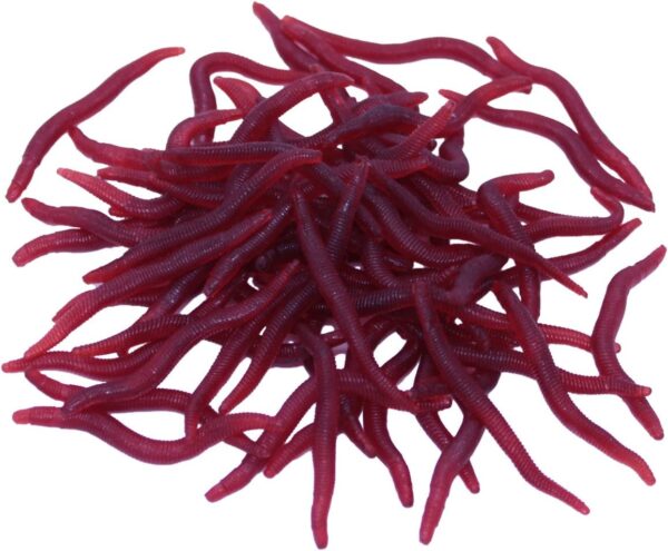 360pcs Sea and Carp Fishing Tackle Box of Fak Fishing Artificial Bait Soft Plastic Lures - Image 3