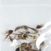 Nymphs Fishing Flies Assortment 24 Pieces Dry Flies Nymphs Fly Fishing Flies Kit