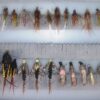 Nymphs Fishing Flies Assortment 24 Pieces Dry Flies Nymphs Fly Fishing Flies Kit - Image 2