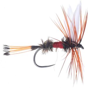 Artisan du Nord Best Selection of Trout Fi Dry Flies Nymphs Fly Fishing Flies Kit