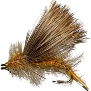 Artisan du Nord Best Selection of Trout Fi Dry Flies Nymphs Fly Fishing Flies Kit