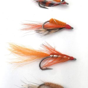 Fly Fishing Saltwater Shrimp FIRE Set Box of Dry Flies Nymphs Fly Fishing Flies Kit